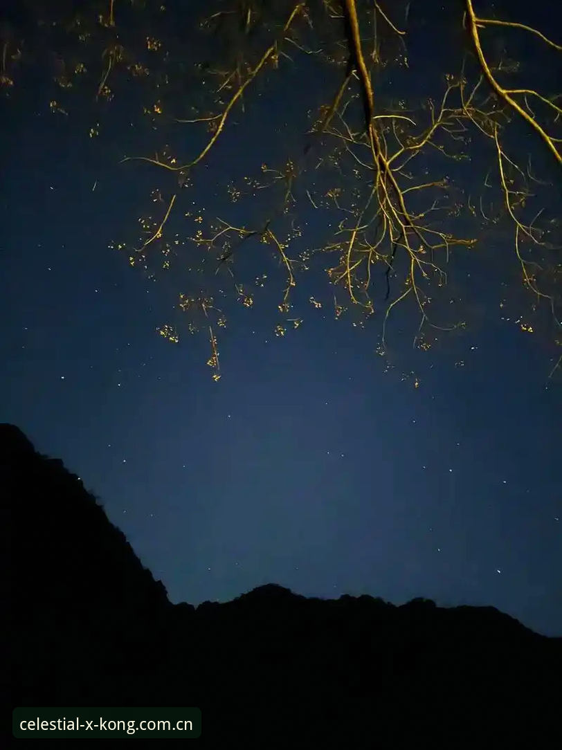 星空官方第十二版手机注册 星空官方第十二版手机注册全流程深度评测:那些90%用户踩过的坑